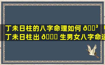 丁未日柱的八字命理如何 🐳 「丁未日柱出 🍁 生男女八字命运」